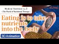 Medical Nutrition ~The World of Nutritional Therapy~ Vol.1 Eating is to take nutrients into the body