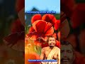 god alone is the doer and you are his instrument sri ramakrishna paramhansa