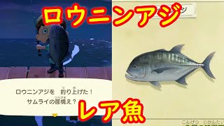 【レア魚】ロウニンアジ 釣れる場所 出現入手場所 攻略【あつまれ どうぶつの森 あつ森】