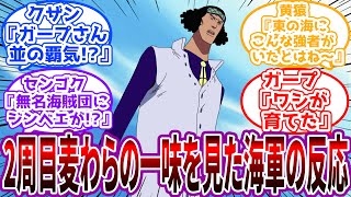 「あらら、ガープさんどんな教育したんだか…」2周目麦わらの一味を見た海軍の反応に対する読者の反応集【ワンピース】