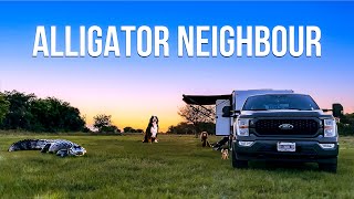 FREE campground with an ALLIGATOR neighbour | FLORIDA