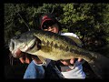 megabass movie 026　the bait finesse