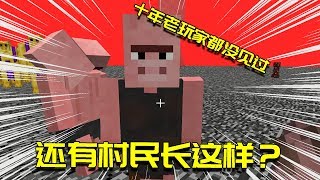 我的世界Mod：猪人被我拯救后成为猪人村民？！这副模样的猪人太丑了吧