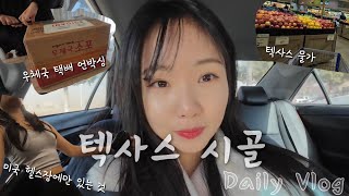 [vlog #14]  점점 커져가는 텍사스 시골도시 ‘러벅’에서의 하루하루⭐️