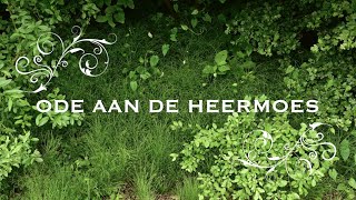 ODE AAN DE HEERMOES - Kruidengeheimen