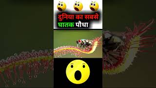 दुनिया का सबसे घातक पौधा || 😲😲 || The World's Most Dangerous Plant ||