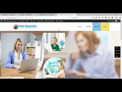 WordPress Website - Add Custom HTML and CSS WordPress Website - Add Custom HTML and CSS