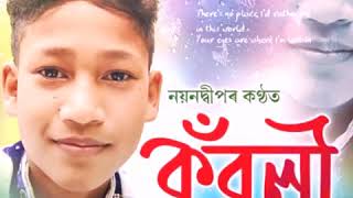 Hirot Hendur Dilei By Nayandeep Gogoi || Album Kunwoli 2019