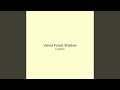 Velvet Forest Shadow