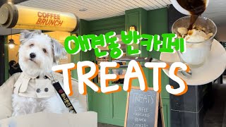 부천 애견동반카페 TREATS 리뷰💖