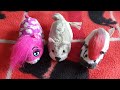 Zhu Zhu Pet Review/Haul - Nilla and 2017 Pajama Party Roxie