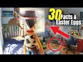 30 Toy Story 3 IRL Facts & Easter Eggs