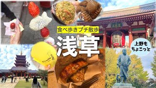 【浅草食べ歩き】はじめての浅草ぶらり散歩旅/アメ横と上野恩賜公園