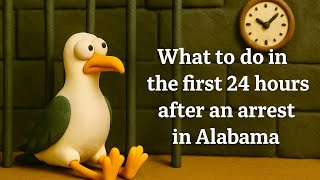 What do you do in the first 24 hours after an arrest in Alabama?