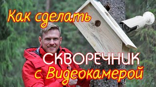 Как установить видеокамеру в скворечник.