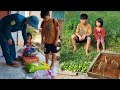 The boy picked fruit to sell and received a gift from a kind person. - boy orphaned parents