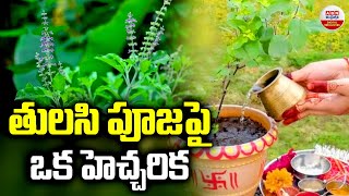 తులసి పూజ పై ఒక హెచ్చరిక | Significance of Tulasi Pooja in Magha Masam | Devotional | ABN Digital