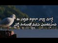 ఒక మగాడు తన భార్యకు ఇవ్వగలిగే బహుమతి ఇదే bestquotes positivevibes thinking