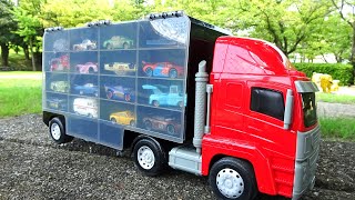 Find 32 types of Disney Cars & Japanese Anime Tomica in the park!