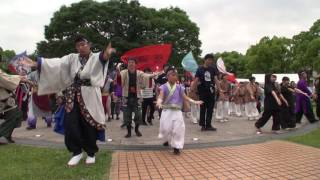 名大祭らんまつり２０１７　【総踊り】　シャケサンバ