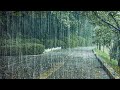 [경고] 들으면 바로 잠듭니다 불면증 끝내는 폭우 빗소리 ASMR