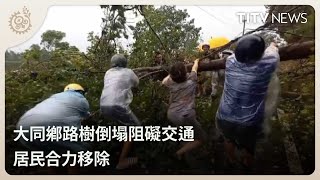 大同鄉路樹倒塌阻礙交通 居民合力移除｜每日熱點新聞｜原住民族電視台