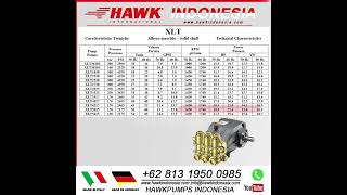 High Pressure Washer 300 Bar 30 Mpa 4350 psi  18.0 lpm 4.8 US GPM HAWK XLT1830IR