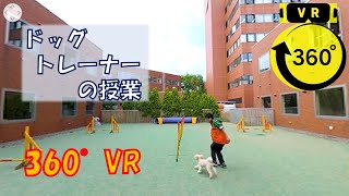 【360°VR】エコ探検！ドッグトレーナーの授業