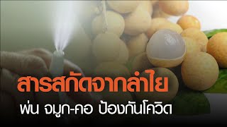 สารสกัดจากลำไยพ่นจมูกคอ ป้องกันโควิด l สุขหยุดโรค l 07 03 64