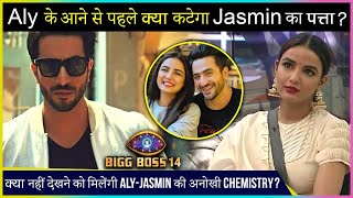 Jasmin Bhasin To Be Eliminated Before Aly Goni's Entry In Bigg Boss 14 House?