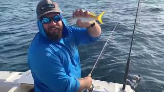 Yellowtail Snapper and castnetting some bait {Catch, Clean, Cook} (Swamp N Stomp ep. #59)