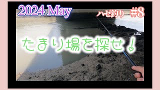 2024年【ハゼ釣り#8】5月24日‗必ずどこかにいる！？大好きだったアノ場所のデキハゼ調査‗釣果情報