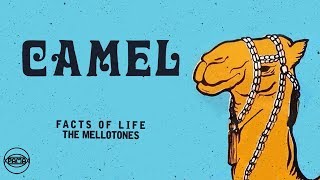 The Mellotones - Facts of Life (Official Audio) | Pama Records