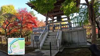 石神井 三重塔ともみじの道場寺