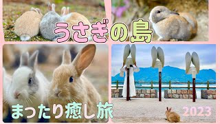 うさぎの島　まったり癒し旅　広島県大久野島2023