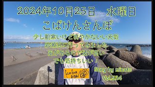 2024年10月25日　金曜日　こばけんさんぽ