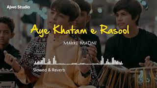 Ay Khatm e Rusul Maaki Madani | TUM SA KOI NAHI | Sibtain Haider