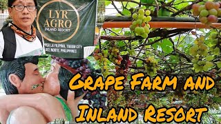 NEW GRAPE FARM: A 1000 sq. meter VINEYARD  located in Tagum City | LYR Agro Inland Resort