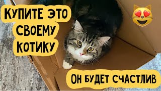 Лучший подарок для котика 😻 Плюс в карму для человека 😍