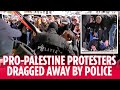 Amsterdam police drag pro-Palestine protesters away for continuing to defy emergency ban