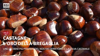 L'oro della Bregaglia | Falò | RSI Info