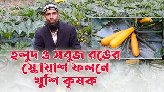 হলুদ ও সবুজ রঙের স্কোয়াশ ফলনে খুশি কৃষক | Squash | Habiganj | Risingbd