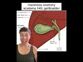 Insomniac anatomy academy 149: gallbladder #science #stem #medicine #stemeducation #anatomy