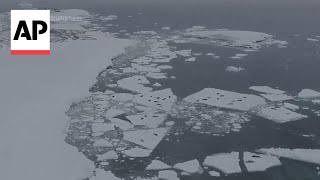 Scientists say melting Antarctic iceberg poses major sea level threat