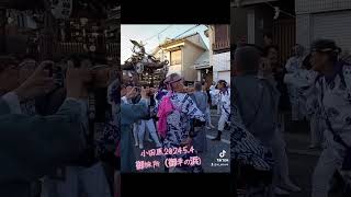 小田原松原神社例大祭　2024  御幸の浜