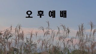 [빛교회] 감사는 의무 입니다/ 양태임 목사 201115