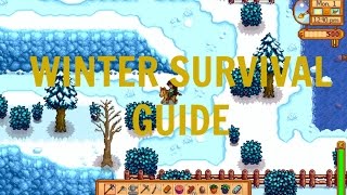 How to Survive Winter in Stardew Valley