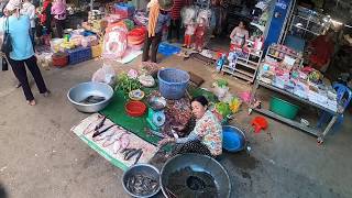 Cambodia Angkor Chey, Tani market visit.