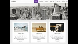 WordPressワードプレス無料テーマ Radiate インストールと設定・使い方