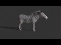 new animals. free zoo 2 animals animations iclone 6.54 and 7 fcmp 112